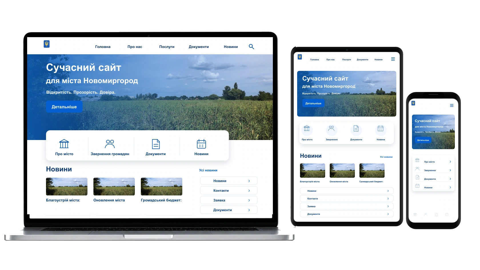 Створення сайтів для організацій у місті Новомиргород — WebCreator