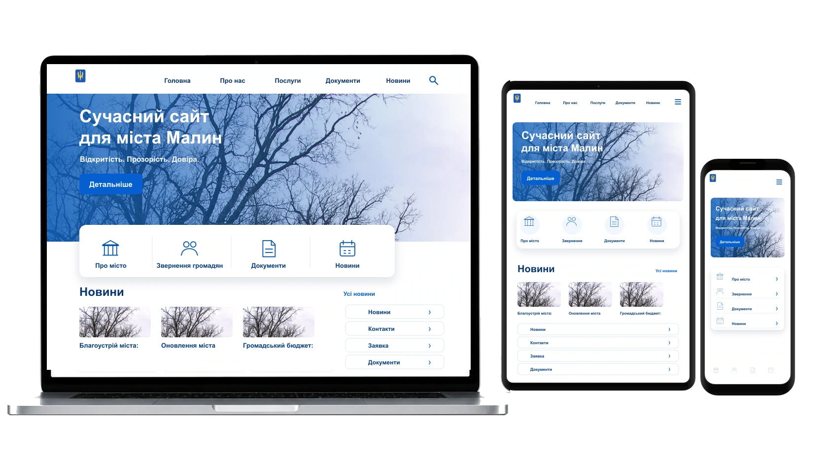 Розробка landing page у місті Малин — WebCreator