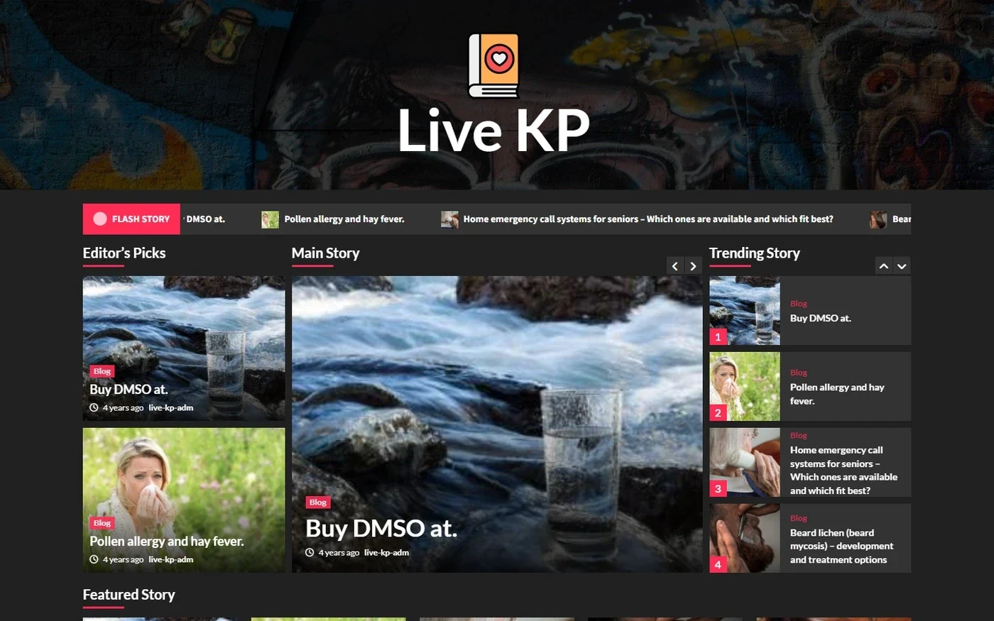 Інтернет-газета Кам'янець LIVE - проєкт Web Creator